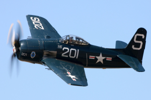 bearcat