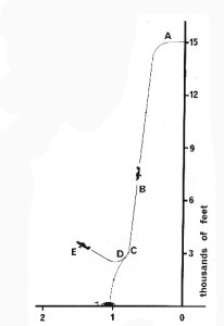 picchiata
