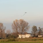 rsz_012