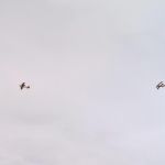 IMG_20150110_121128mod