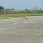 img_20160911_110011